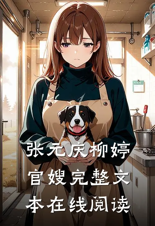 张元庆柳婷官嫂完整文本在线阅读