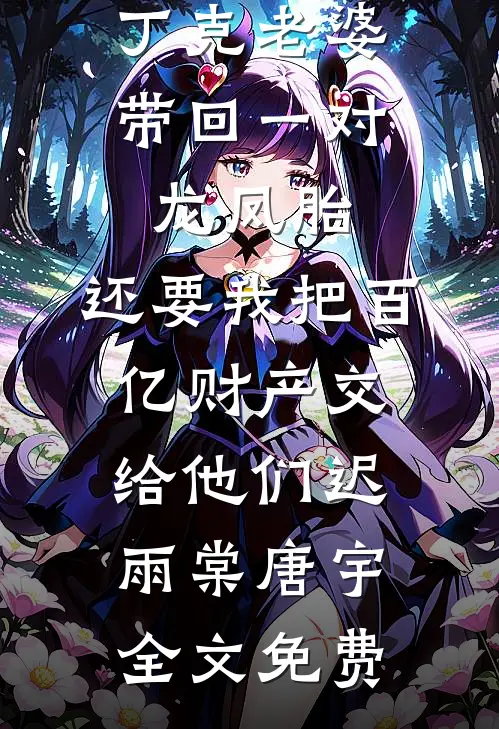 丁克老婆带回一对龙凤胎，还要我把百亿财产交给他们迟雨棠唐宇全文免费
