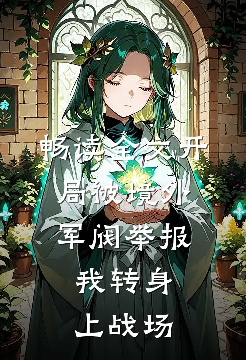 畅读全文开局被境外军阀举报，我转身上战场