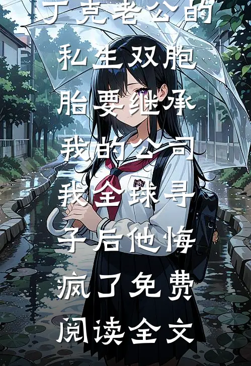 丁克老公的私生双胞胎要继承我的公司，我全球寻子后他悔疯了免费阅读全文