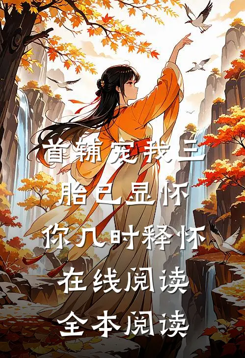 首辅宠我三胎已显怀，你几时释怀在线阅读全本阅读