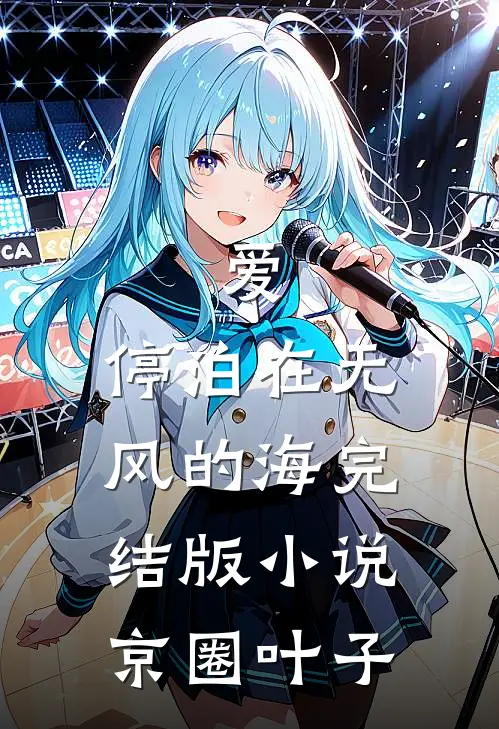 爱，停泊在无风的海完结版小说京圈叶子