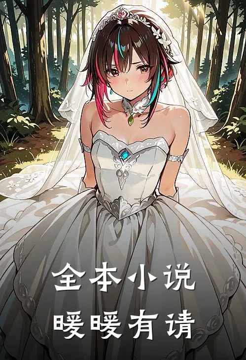 全本小说暖暖有请