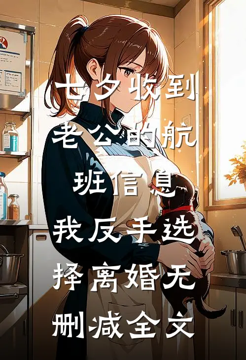 七夕收到老公的航班信息，我反手选择离婚无删减全文