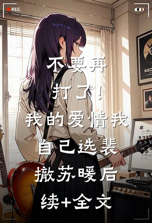 不要再打了！我的爱情我自己选裴撤苏暖后续+全文