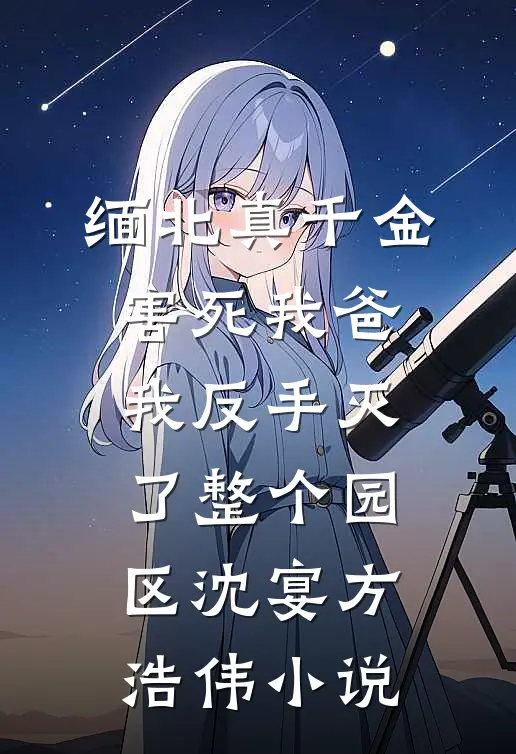 缅北真千金害死我爸，我反手灭了整个园区沈宴方浩伟小说