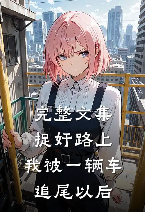 完整文集捉奸路上，我被一辆车追尾以后