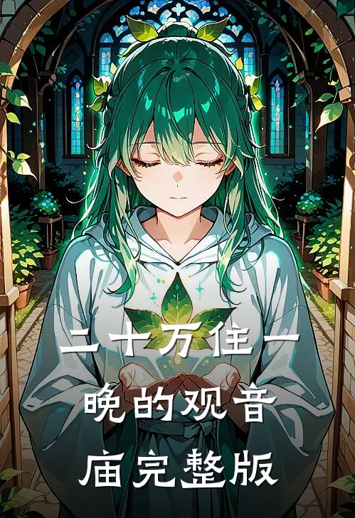 二十万住一晚的观音庙完整版