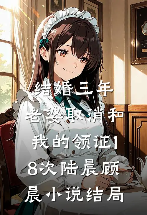 结婚三年，老婆取消和我的领证18次陆晨顾晨小说结局