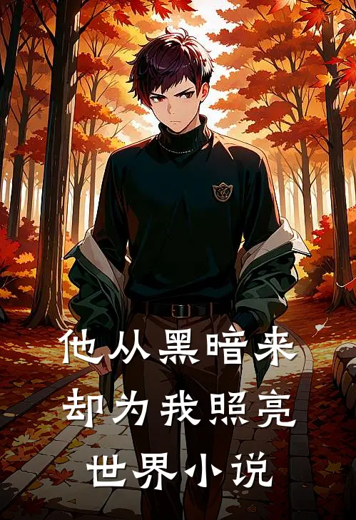 他从黑暗来，却为我照亮世界小说