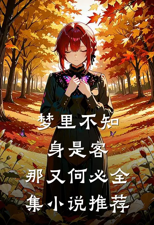 梦里不知身是客，那又何必全集小说推荐