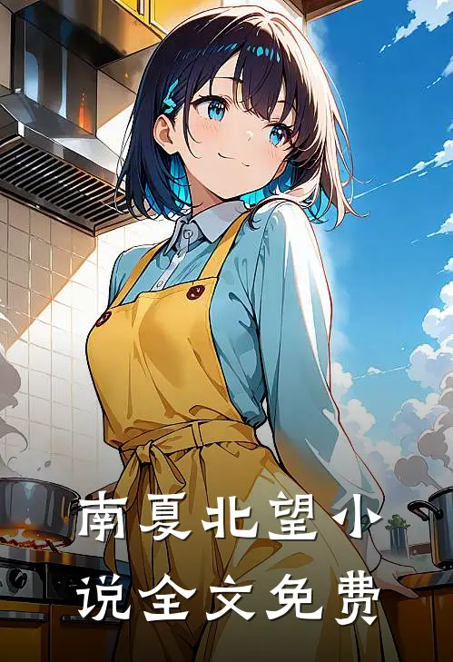 南夏北望小说全文免费