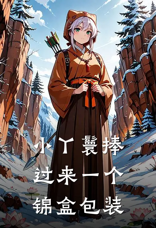 小丫鬟捧过来一个锦盒包装