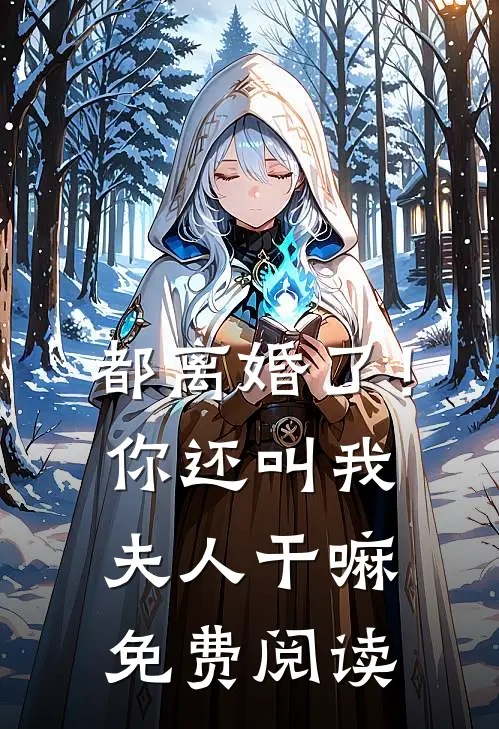 都离婚了！你还叫我夫人干嘛免费阅读
