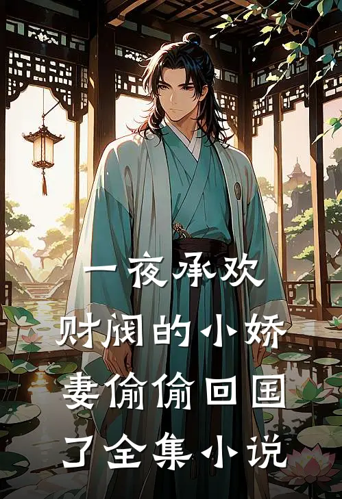一夜承欢：财阀的小娇妻偷偷回国了全集小说