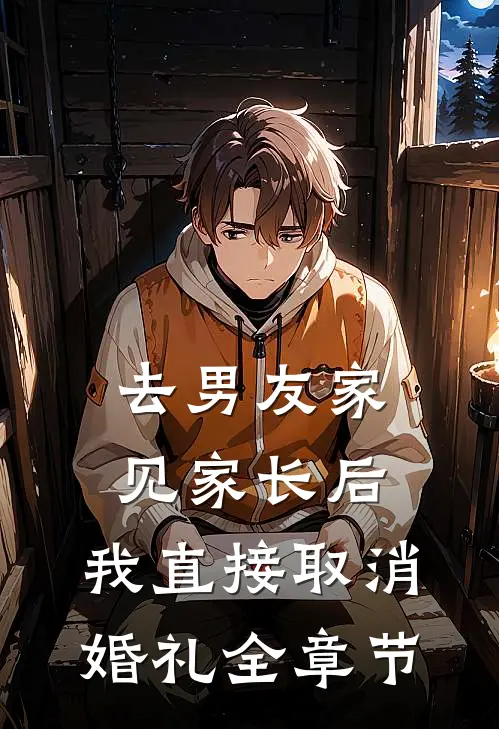 去男友家见家长后，我直接取消婚礼全章节