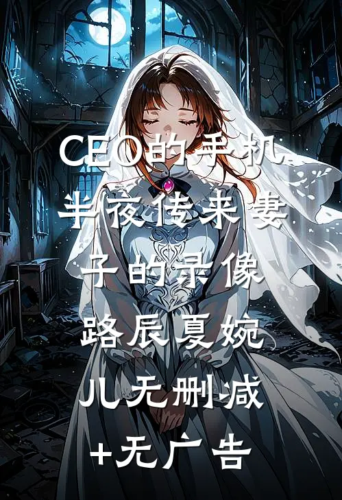 CEO的手机，半夜传来妻子的录像路辰夏婉儿无删减+无广告