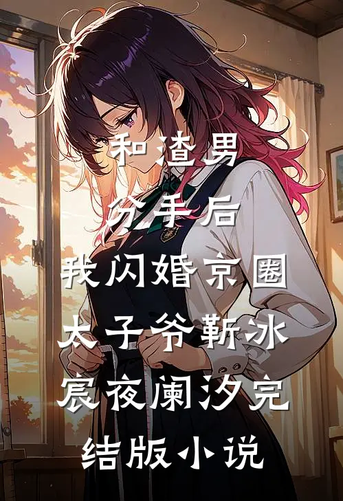和渣男分手后，我闪婚京圈太子爷靳冰宸夜阑汐完结版小说
