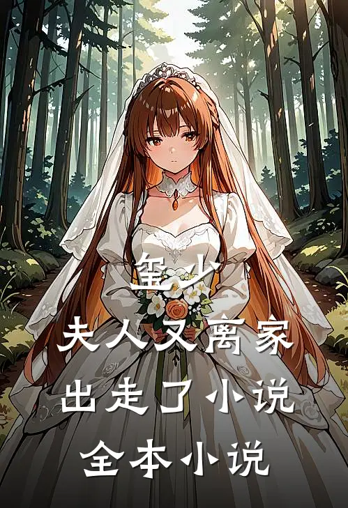 玺少,夫人又离家出走了 小说全本小说