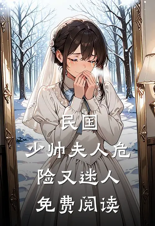 民国：少帅夫人危险又迷人免费阅读