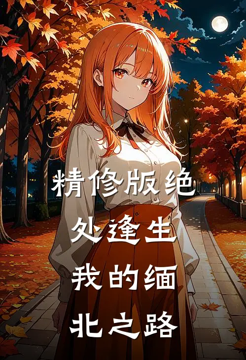 精修版绝处逢生：我的缅北之路