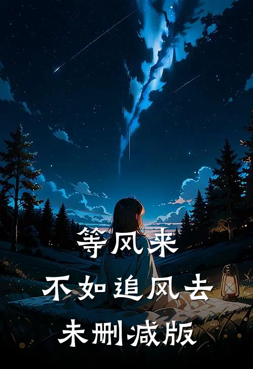 等风来，不如追风去未删减版