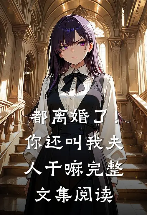 都离婚了！你还叫我夫人干嘛完整文集阅读