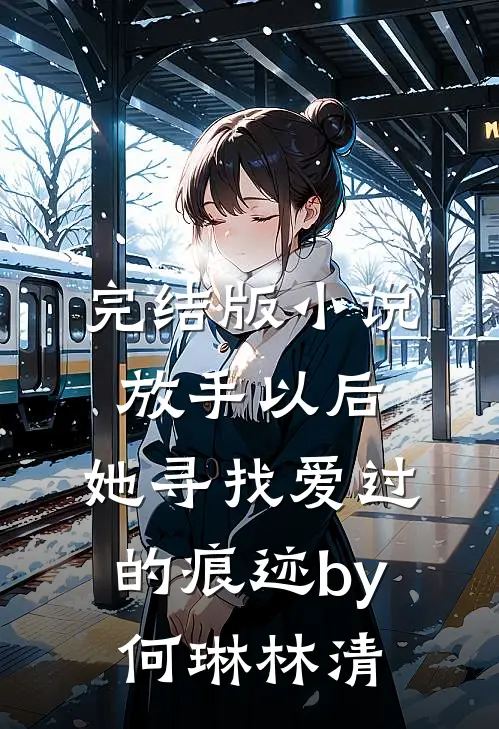 完结版小说放手以后，她寻找爱过的痕迹by何琳林清
