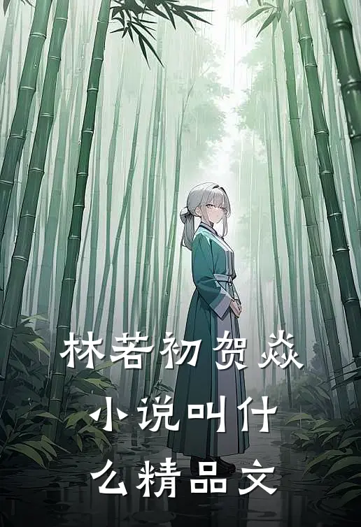 林若初贺焱小说叫什么精品文