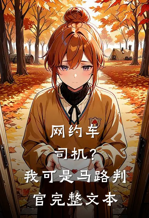 网约车司机？我可是马路判官完整文本