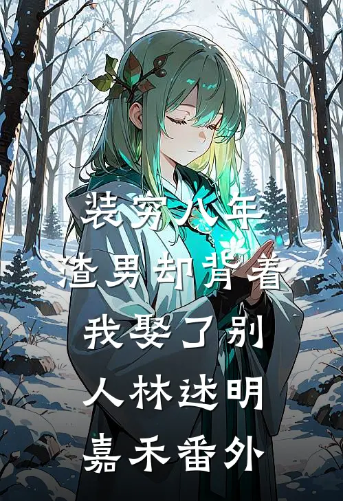 装穷八年，渣男却背着我娶了别人林述明嘉禾番外