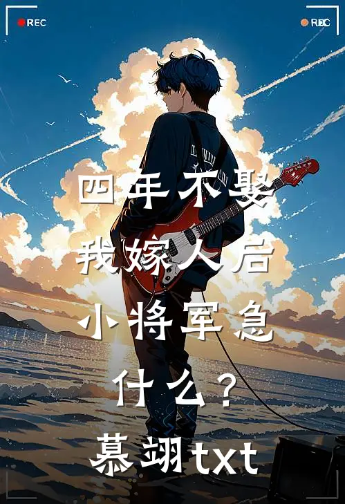 四年不娶，我嫁人后小将军急什么？慕翊txt