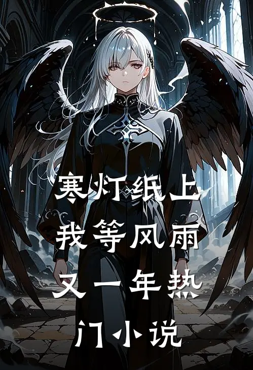 寒灯纸上，我等风雨又一年热门小说