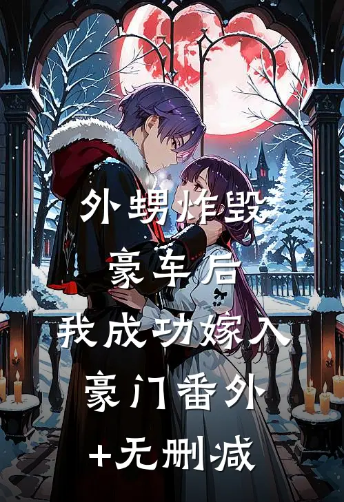 外甥炸毁豪车后，我成功嫁入豪门番外+无删减