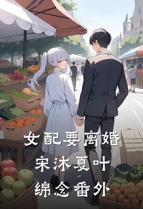 女配要离婚宋沐夏叶绵念 番外