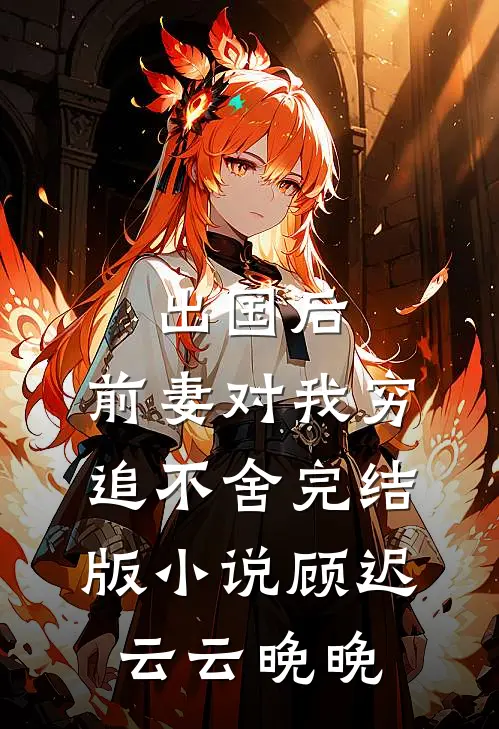 出国后，前妻对我穷追不舍完结版小说顾迟云云晚晚