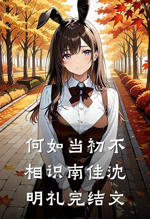 何如当初不相识南佳沈明礼完结文