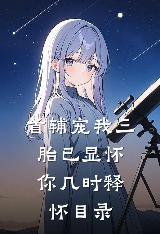 首辅宠我三胎已显怀，你几时释怀目录