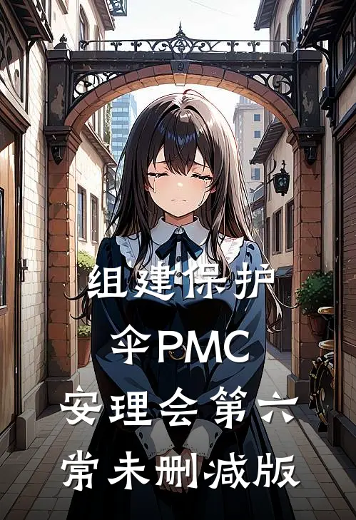 组建保护伞PMC，安理会第六常未删减版