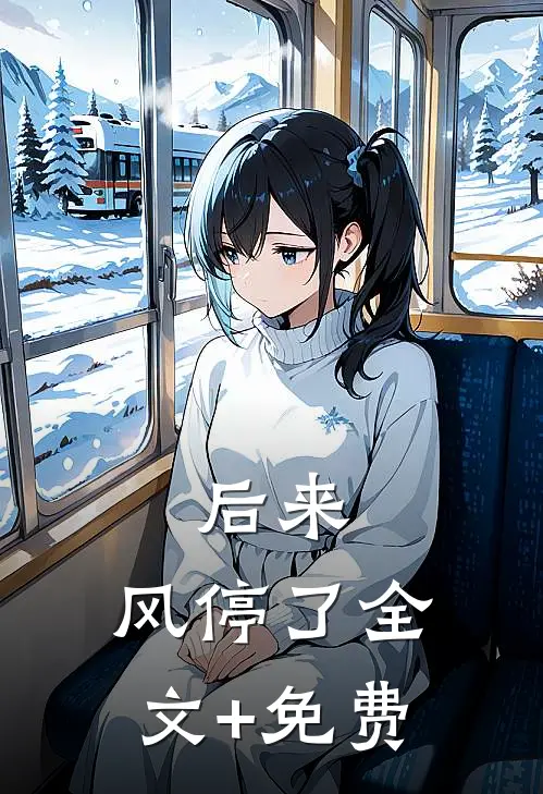 后来，风停了全文+免费