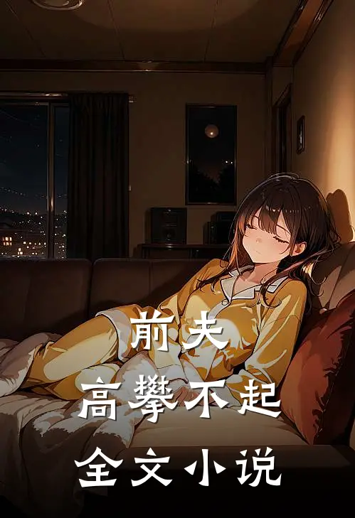 前夫，高攀不起全文小说