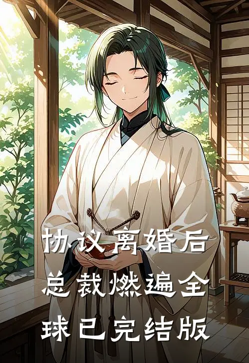 协议离婚后，总裁燃遍全球已完结版