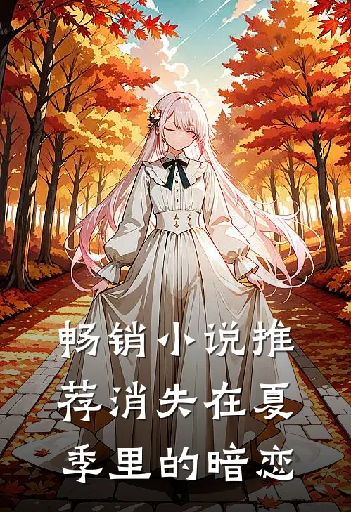 畅销小说推荐消失在夏季里的暗恋