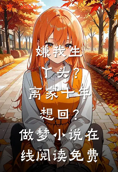 嫌我生丫头？离家十年想回？做梦小说在线阅读免费