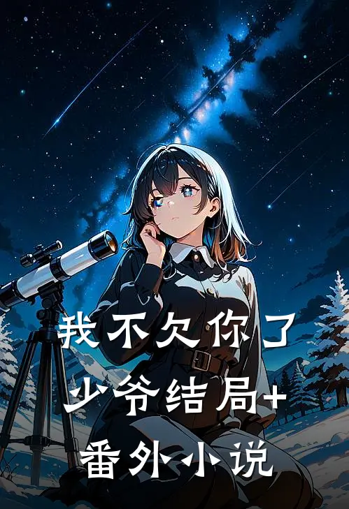 我不欠你了，少爷结局+番外小说