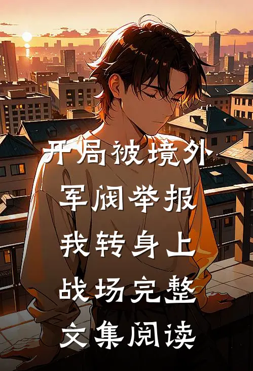开局被境外军阀举报，我转身上战场完整文集阅读