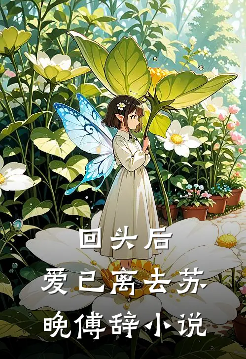 回头后，爱已离去苏晚傅辞小说