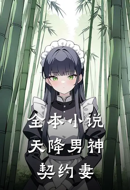 全本小说天降男神契约妻