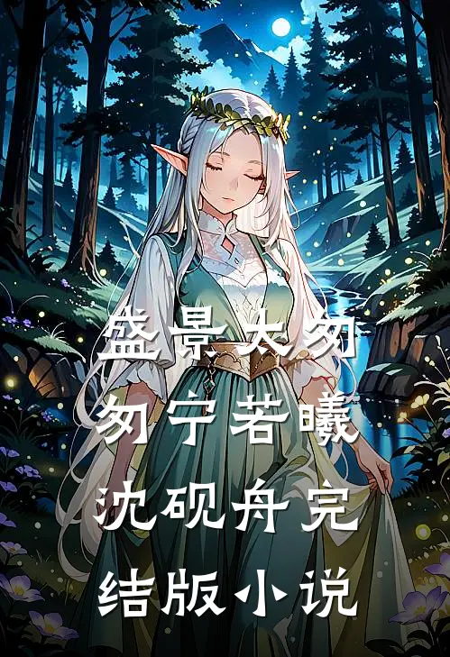 盛景太匆匆宁若曦沈砚舟完结版小说