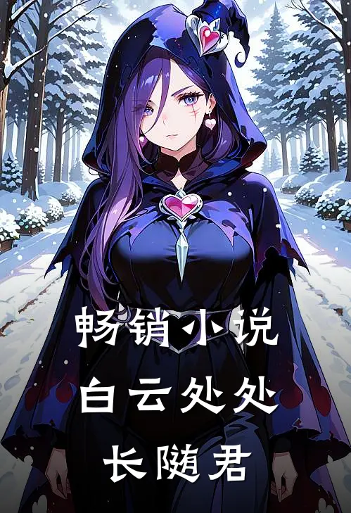 畅销小说白云处处长随君